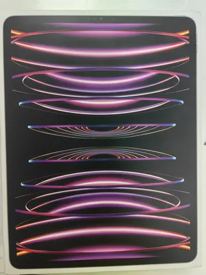 Apple . iPad Pro . 128 GB1