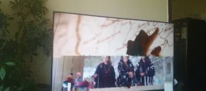 شاشة 65 بوصة استعمال خفيف