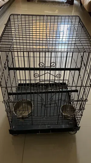 cage for parrot