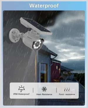 Security camera type