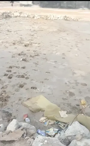 قطعه ارض زراعي توزيع جمعيه