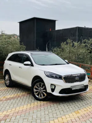 الجب وكاله الفل الفل