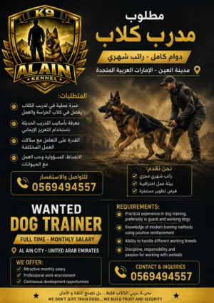 مطلوب مدرب كلاب براتب شهري
