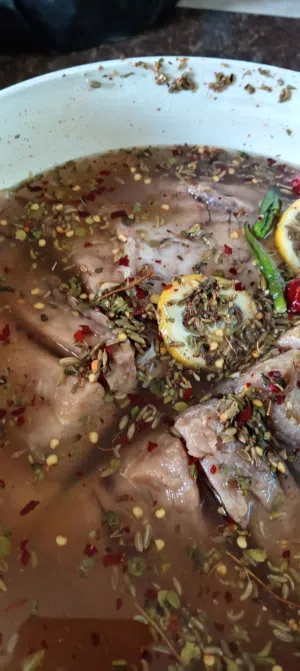 متوفر مالح حبار وحبار يابس