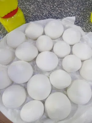 جميد وسمن بلدي ومكفول