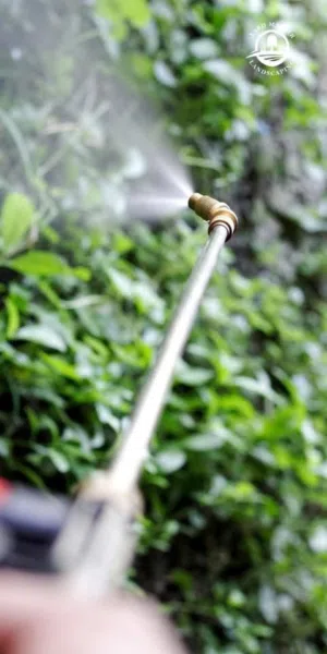 YARD MASTER  تنسيق حدائق