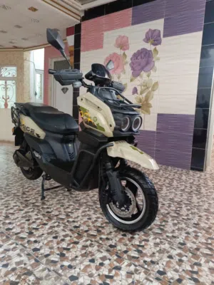 اخرى . اخرى . 20251
