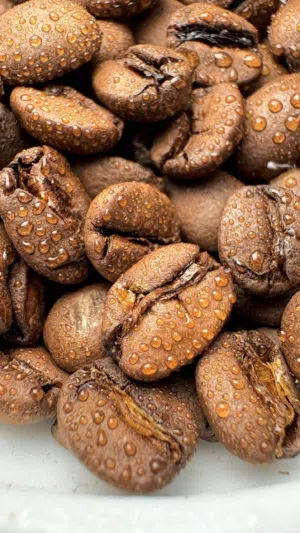 ‏طعام - غذاء - اخرى‏1