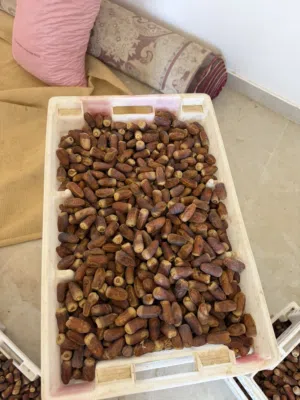 تمر نغال في جواني