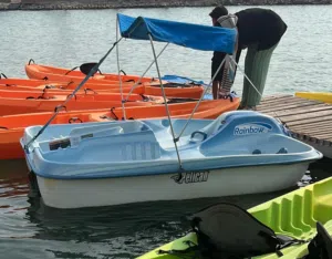 Pedal Boat For Urgent Sale - 150 Bhd