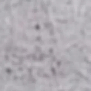 أنثى قطوه مطعمه للتبني الي عنده يتواصل بالرقم