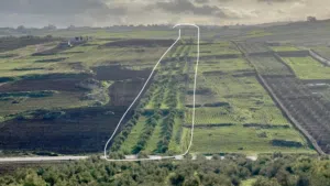 Residential Land for Sale in Irbid Ham