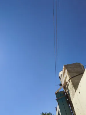 فراخ شحرور