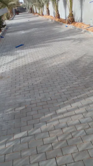 المجموعة اسطي العاشق والمعشوق والبندورات في طرابلس وضواحي