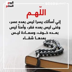 أمير حسن 