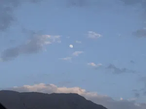 ALMA 