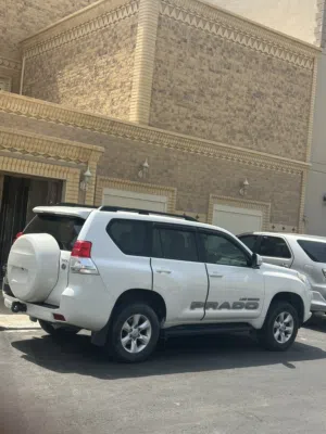 شرط الفحص صبغ وكاله كامل مواصفات TXL فتحه