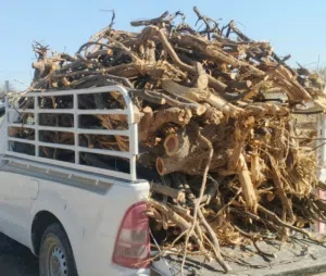 حطب سمر مختلف الاحجام نظيف للبيع بالمفرد والجمله .