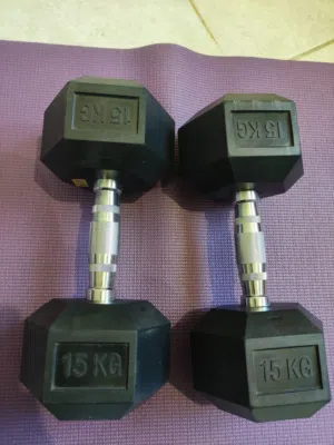 2 Wansa brand dumbbells, original, 15 kg capacity, excellent condition, brand new