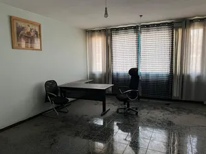 Yearly . 50 m24