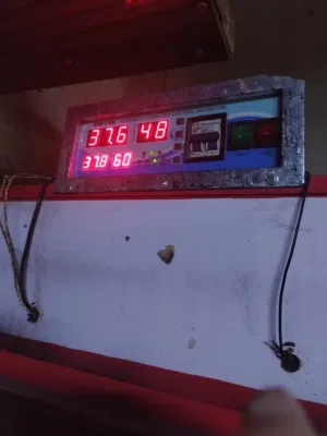 فقاسه واقفاص فري للبيع