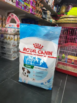 اكل كلاب مني بوبي