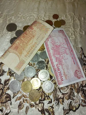 ‏نوادر‏1