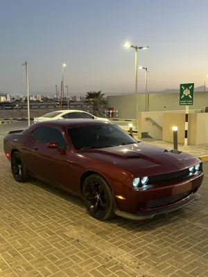 Used Dodge Challenger in Muscat