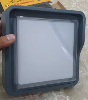 Outdoor LED Surface mounted light Luminaire