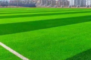 العشب الصناعي ( الجراس كاربت ) اهلا وسهلا بالجميع في عالم العشب الصناعي بجميع انواعه والوانه وأشكاله