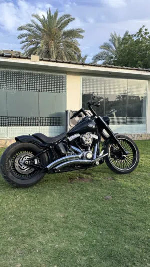 Harley davidson softail slim custom  للبيع هارلي ديفيدسون سوفتيل سليم كوستم