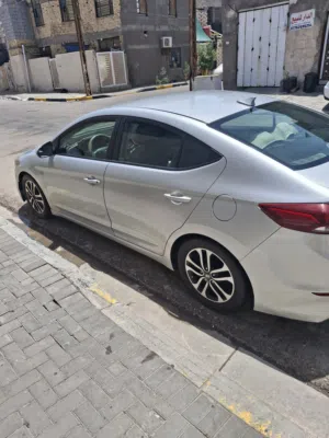النترا أمريكي 2018