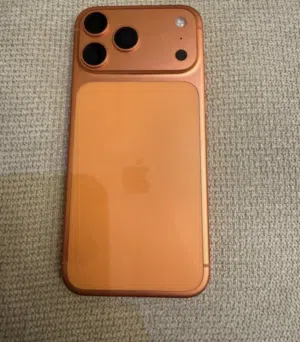 Apple iPhone 17 Pro Max 256 GB in Irbid