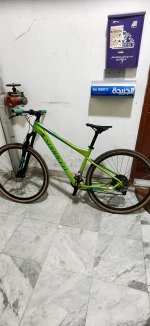 bike sunpeed rule دراجة