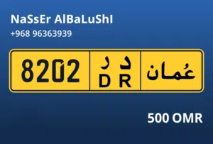 رقم رباعي مميز 8202 د ر
