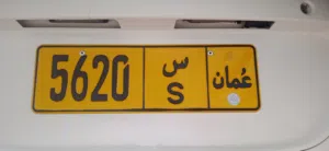 لوحه مميزه للبيع