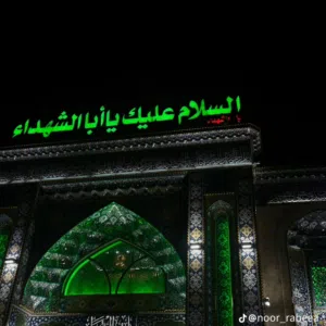 اياد الشويلي