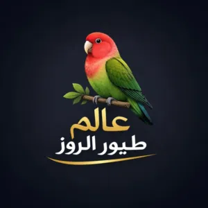سلطان الحسني 