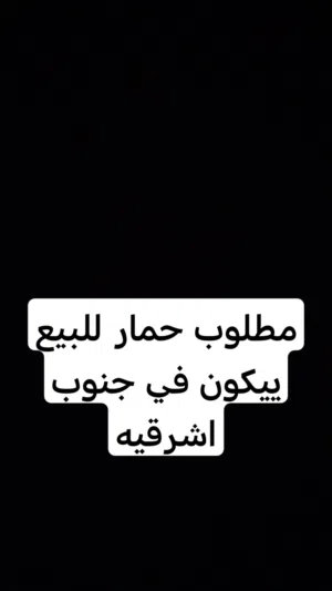 مطلوب حمار للبيع