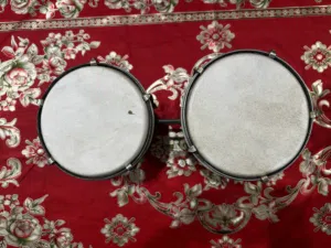 Bongo for sale