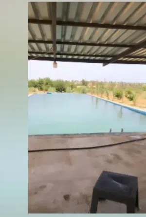 خميسه هكتارات فل الفل