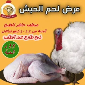 نبيع لحم الحبش والديك البلدي والبيض البلدي الطازج