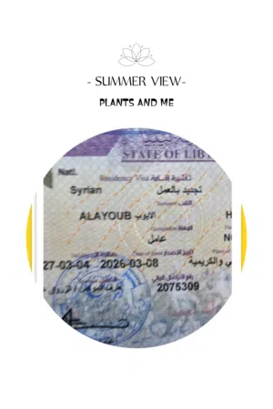 مكتب الحسن للخدمات العامه