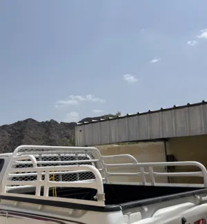 بيع سله بيكب فرويل 2016/2025