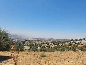 Residential Land for Sale in Amman Badr Jdedeh