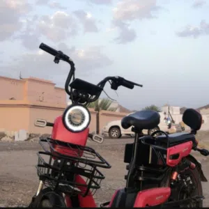 محمد بن إبرهيم الزكواني 
