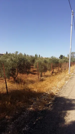 Residential Land for Sale in Madaba Juraynah