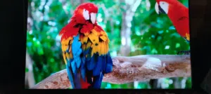 شاشه هاينسز 65 سمارت