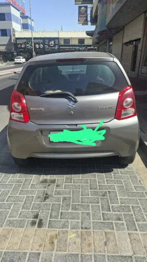 suzuki  2015