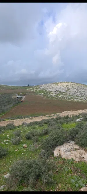 Residential Land for Sale in Jenin Other